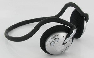 headphones300